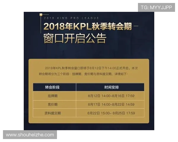 聚焦王者荣耀BLG战队的默契配合与战术分析探讨